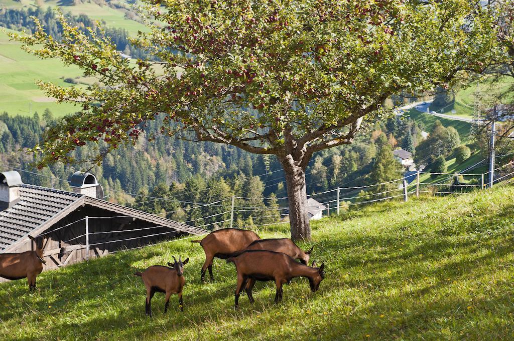 Hotel Gasthof Handl Schonberg im Stubaital Exterior photo